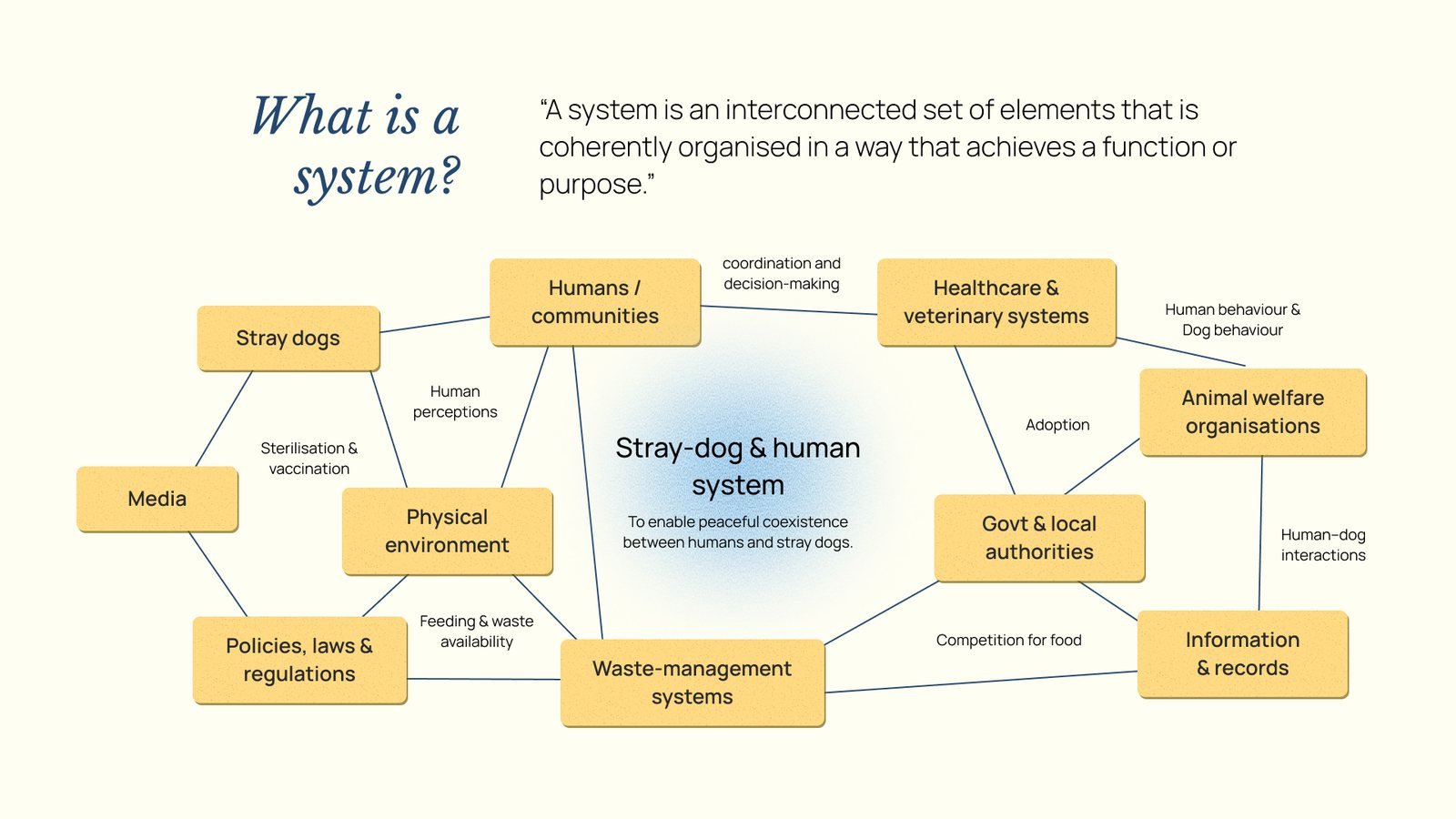 Overpopulation of Stray Dogs: What is a system