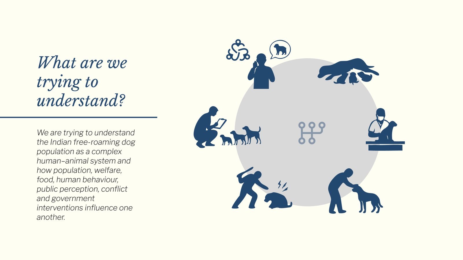 Overpopulation of Stray Dogs: What are we trying to understand