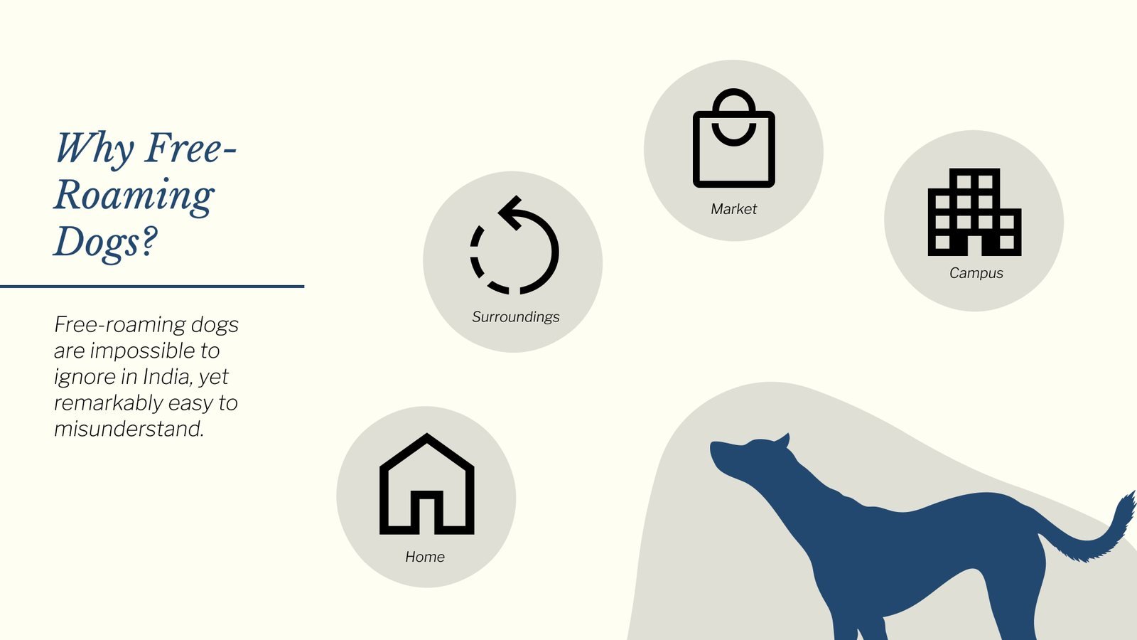 Overpopulation of Stray Dogs: Why free-roaming dogs