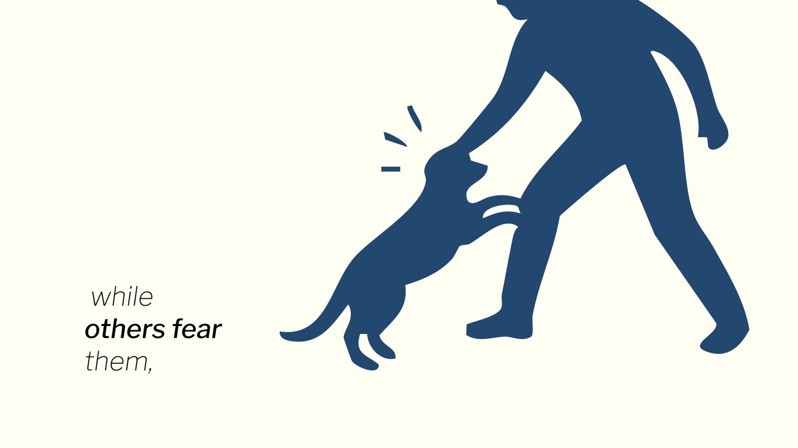 Overpopulation of Stray Dogs: While others fear them