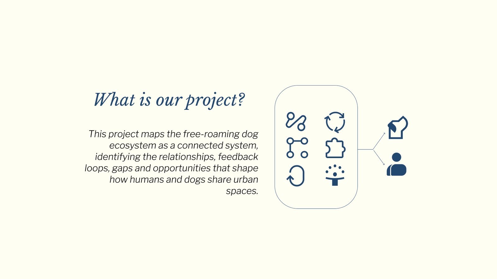 Overpopulation of Stray Dogs: What is our project