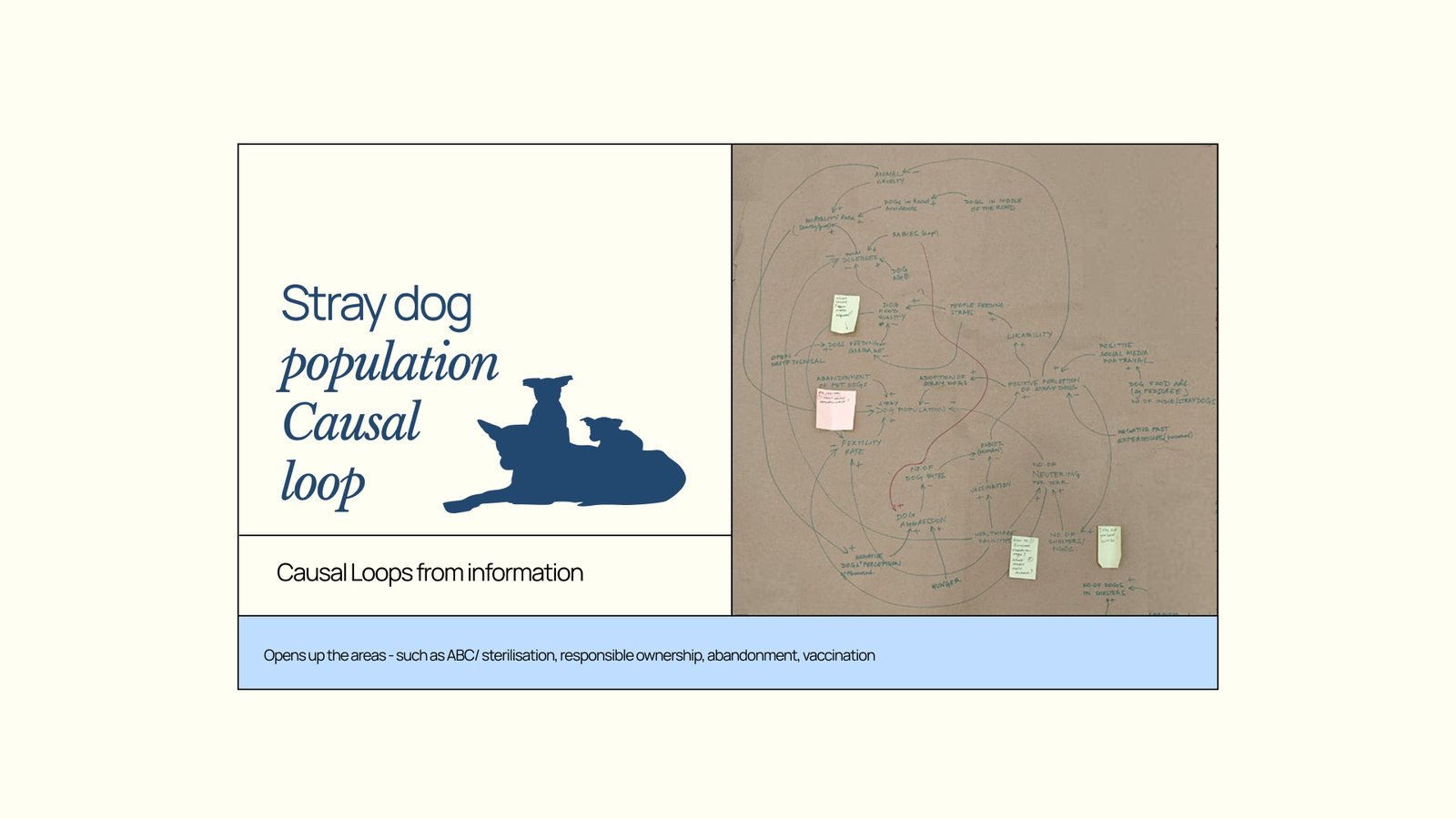 Overpopulation of Stray Dogs: Causal loop diagram