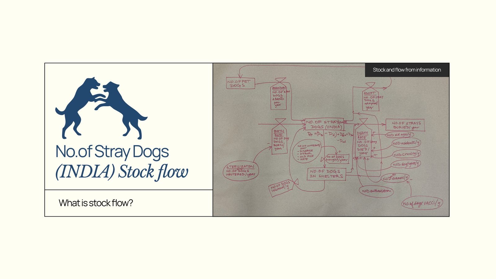 Overpopulation of Stray Dogs: Stock and flow diagram