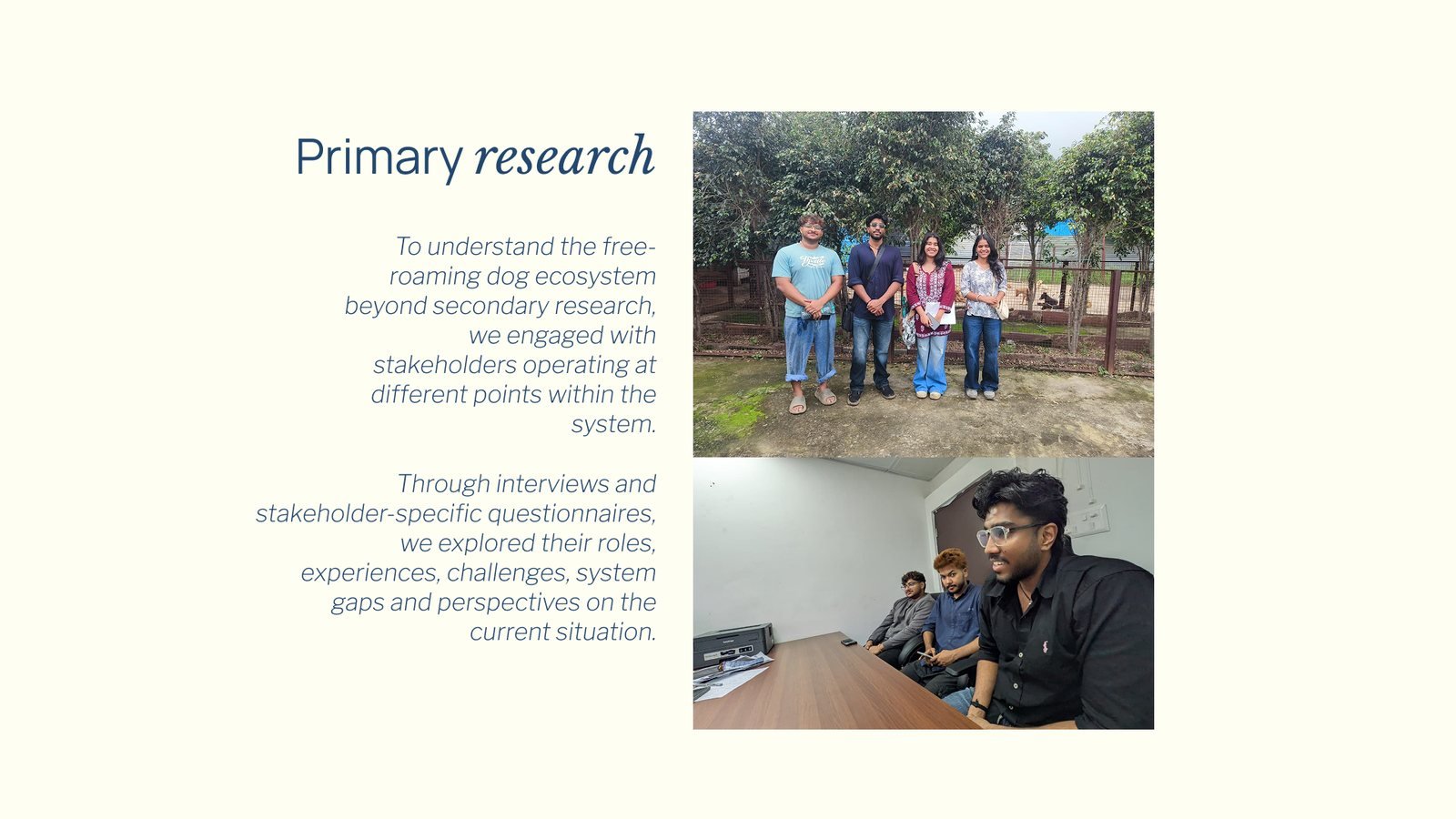 Overpopulation of Stray Dogs: Primary research with stakeholders