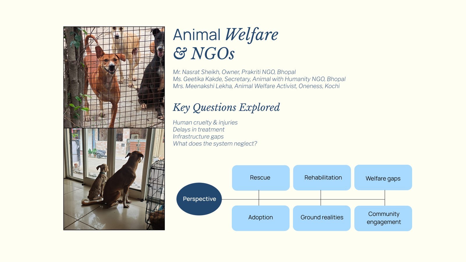 Overpopulation of Stray Dogs: Animal welfare and NGOs