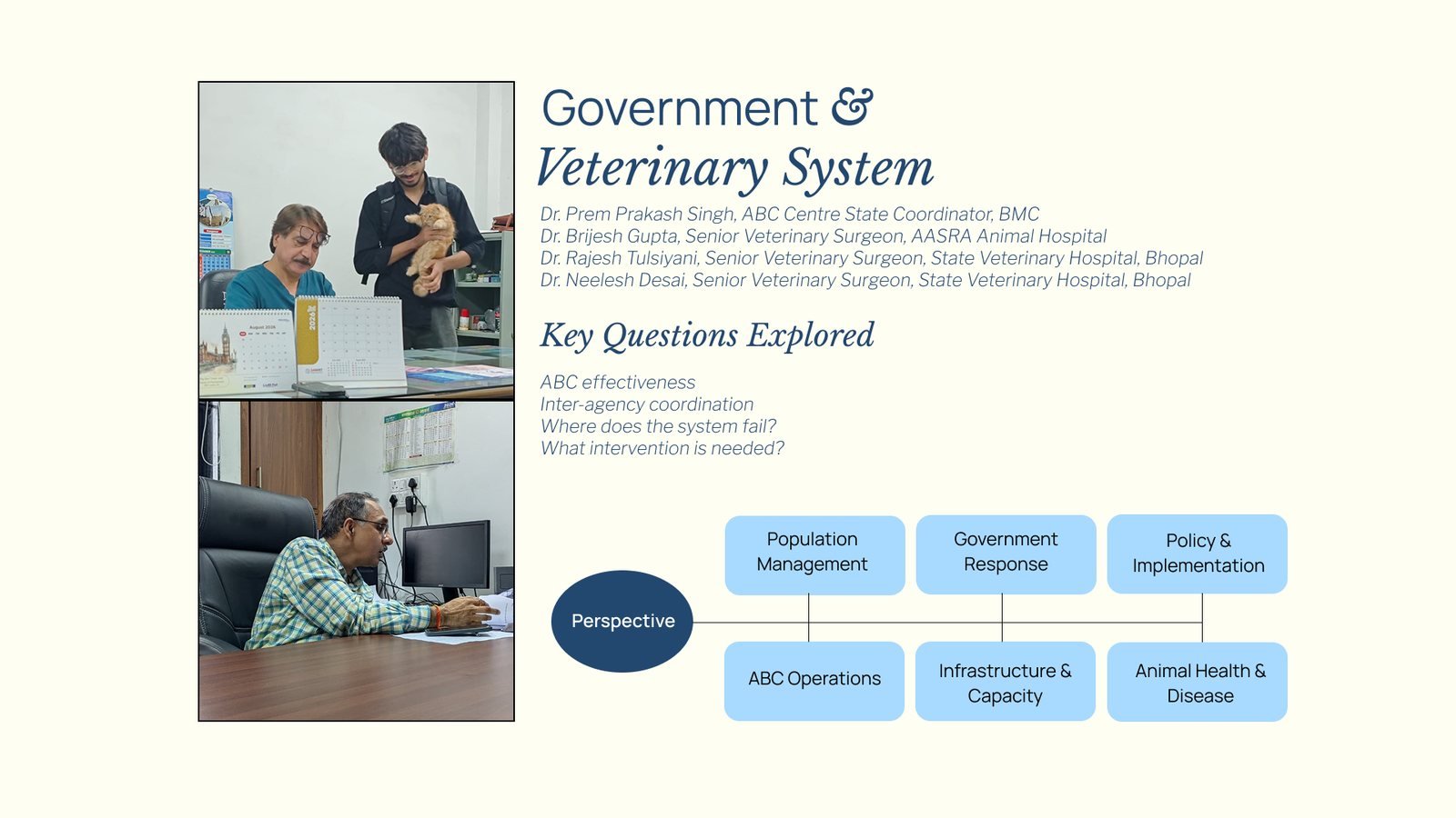 Overpopulation of Stray Dogs: Government and veterinary system