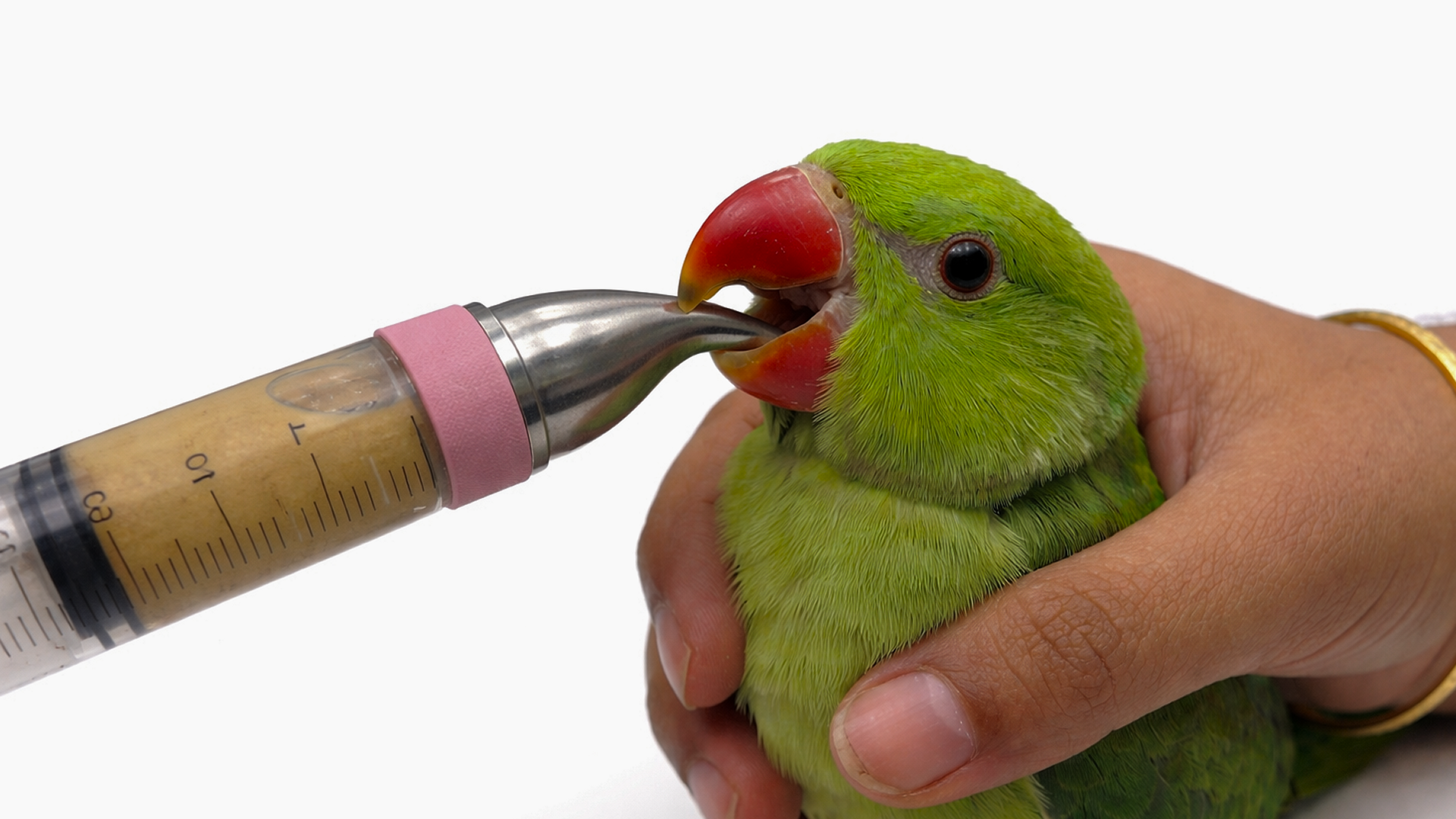 Tiny Tummies — User interaction