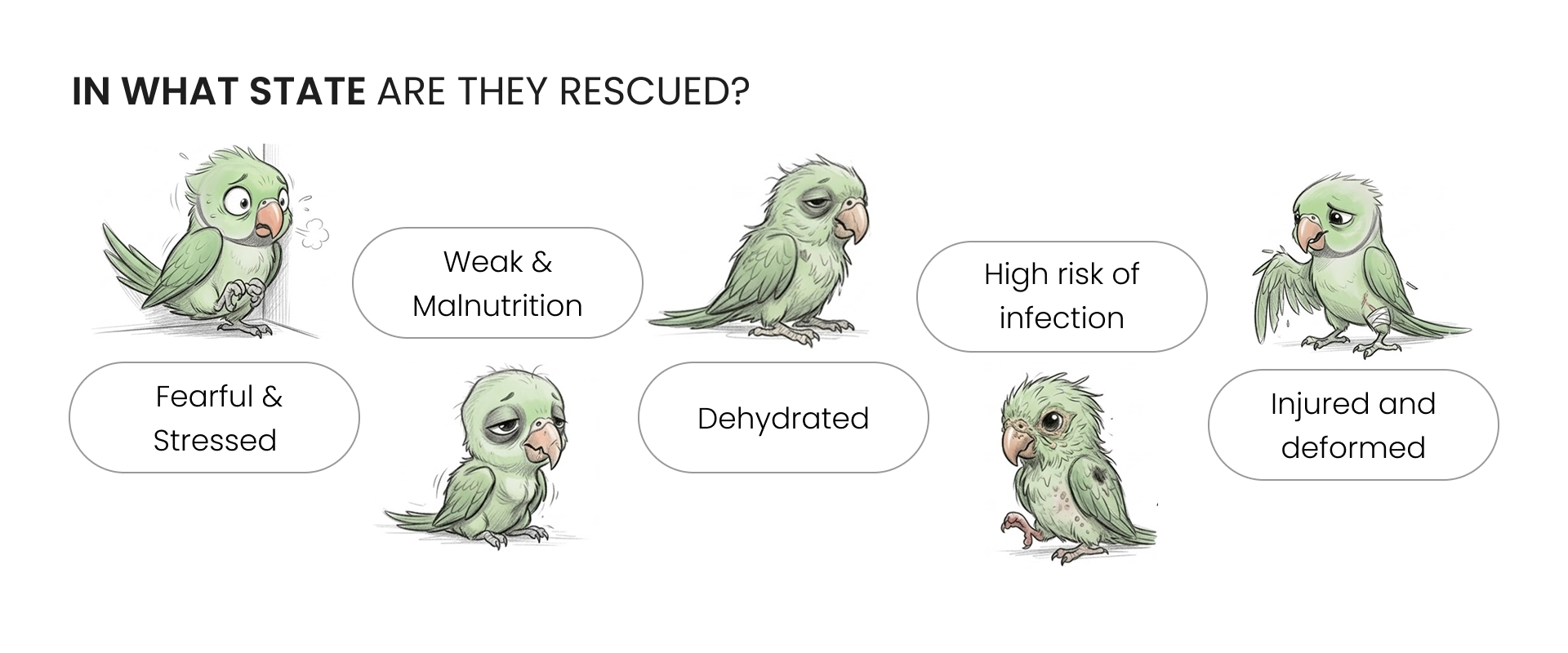 Tiny Tummies — Rescue conditions